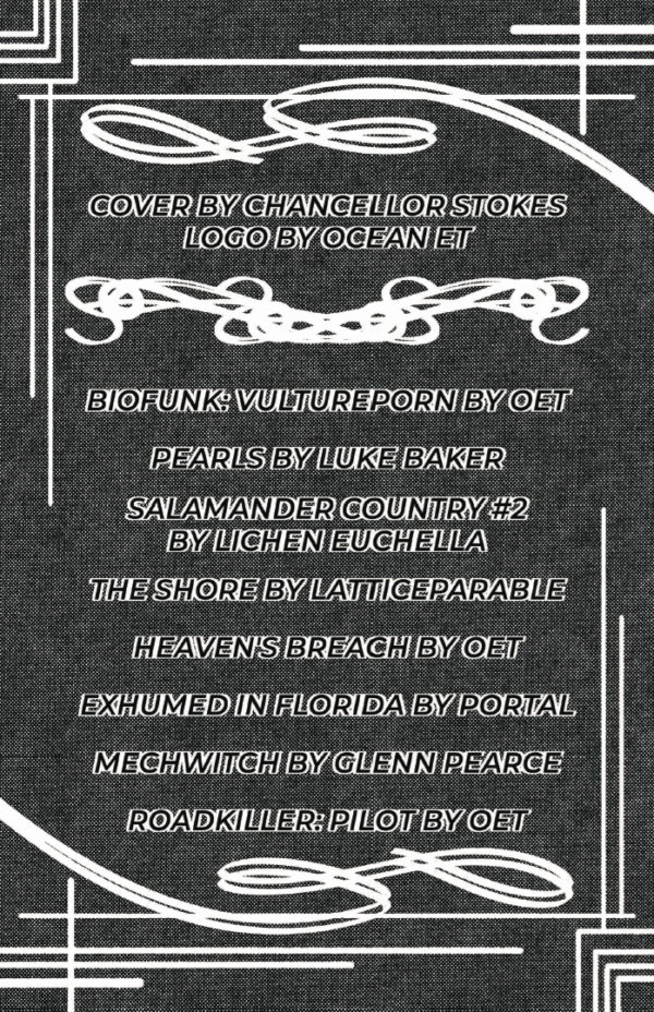 GRAVITY LOOP Issue No. 3 - Image 2