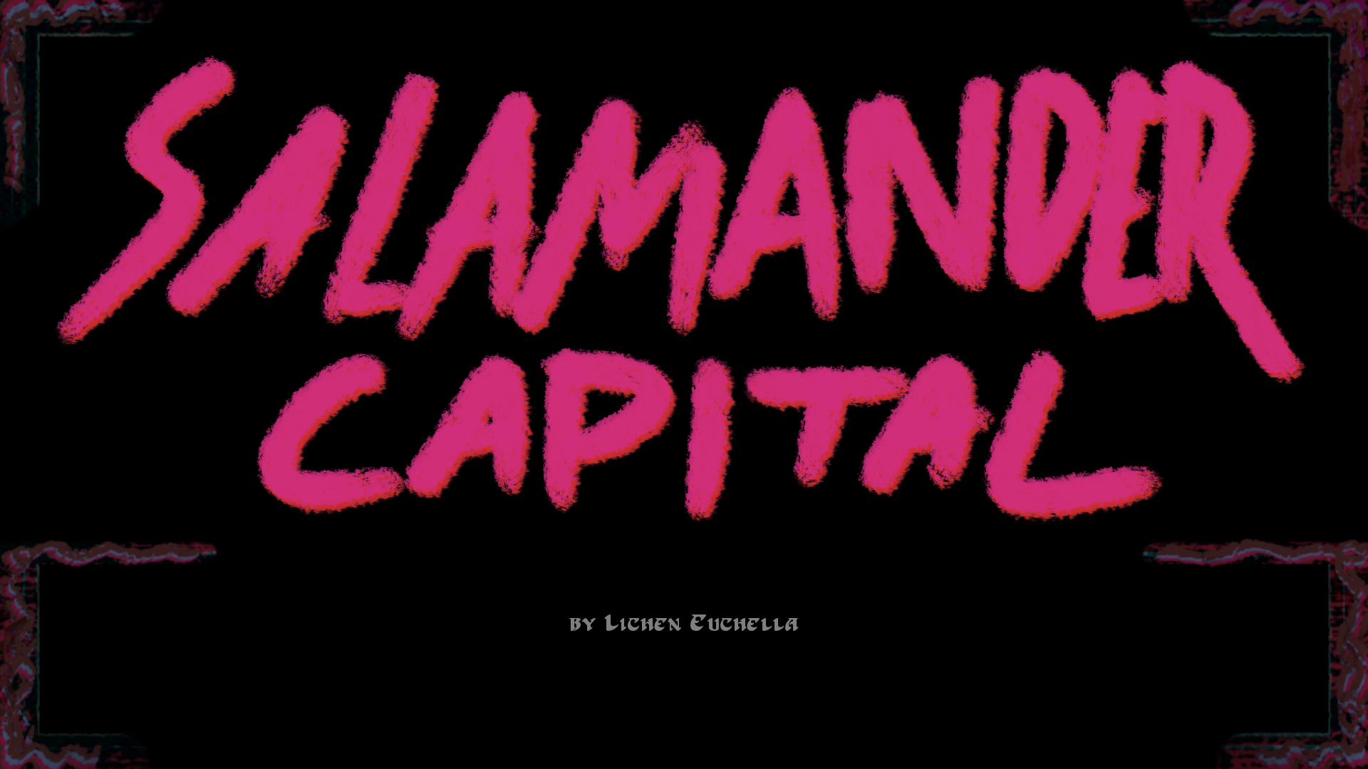 Salamander Capital - Image 2